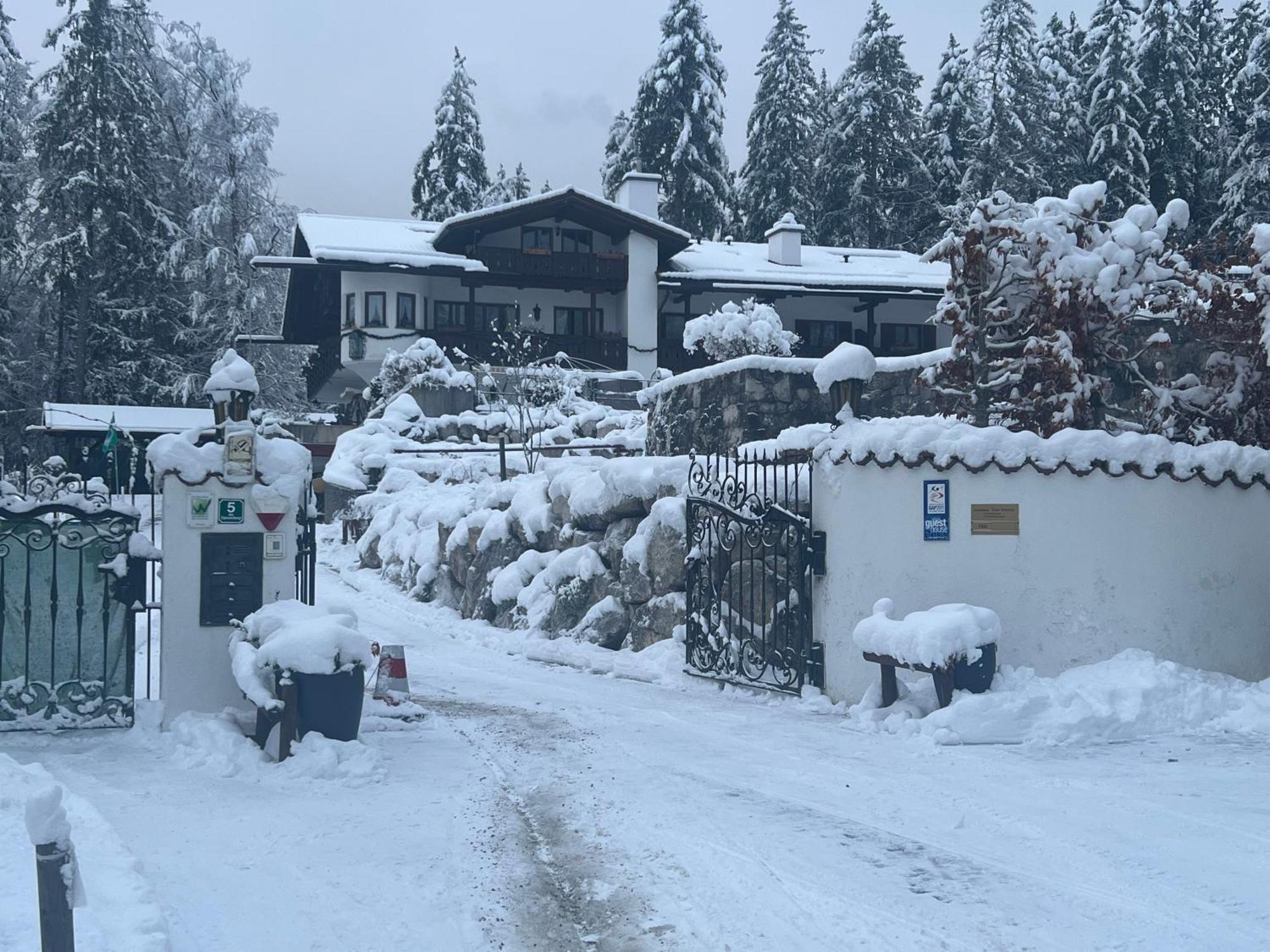 Alpenchalet Zum Jeremia 格赖瑙 外观 照片